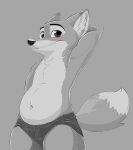 anthro blush blush_lines canid canine clothed clothing disney dodgesthehusky embarrassed featureless_chest fox glistening glistening_nose hand_behind_head inner_ear_fluff male mammal monochrome navel nick_wilde pointy_ears shorts_only simple_background slightly_chubby slightly_chubby_male solo tail topless tuft zootopia