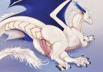 animal_genitalia black_claws blue_horn blue_membrane claws cloaca cloacal_penis dragon erection feral fur genitals hi_res horn looking_at_viewer male mane membrane_(anatomy) membranous_wings mythological_creature mythological_scalie mythology pawpads penis pink_penis scales scalie solo ventral_scales white_body white_fur white_mane white_scales wings zikeny