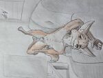 absurd_res animal_genitalia anthro brown_eyes canid canine canine_genitalia fox furniture genitals hi_res male mammal nude presenting smile smiling_at_viewer sofa solo solo_in_panel table tail traditional_media_(artwork) window wolfyalex96