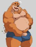  2022 absurd_res anthro belly brown_body brown_fur bulge clothing fur genitals hi_res humanoid_hands male mammal moobs nipples overweight overweight_male penis simple_background solo tail_motion tailwag underwear ursid vitashi 