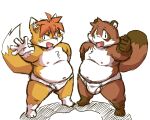  2022 anthro balls belly blush brown_body bulge canid canine clothing duo fox genitals humanoid_hands jamiephut kemono male mammal moobs navel nipples overweight overweight_male raccoon_dog tanuki underwear white_body young 
