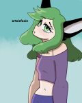 absurd_res animal_humanoid artsiefoxie bottomwear canid canid_humanoid canine canine_humanoid clothing digital_drawing_(artwork) digital_media_(artwork) facial_piercing female fox_humanoid green_eyes green_hair hair hi_res humanoid lip_piercing long_hair mammal mammal_humanoid piercing purple_clothing purple_shirt purple_topwear shirt shorts solo topwear