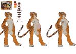  absurd_res anthro bodily_fluids breasts dreamworks felid feline female genitals hi_res kung_fu_panda lactating mammal master_tigress mature_female model_sheet nipples nude pantherine pregnant pussy sabrotiger solo tiger time_progression 