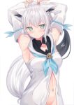  1girl absurdres ahoge animal_ear_fluff animal_ears aqua_eyes aqua_neckerchief armpits arms_behind_head arms_up blush breasts closed_mouth collarbone detached_sleeves fox_ears fox_girl fox_tail groin hair_between_eyes highres hololive kuronekootuta large_breasts long_sleeves navel neckerchief pentagram shirakami_fubuki shirakami_fubuki_(1st_costume) shirt simple_background solo stomach sweat tail virtual_youtuber white_background white_hair white_shirt 