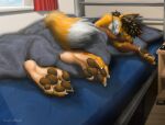  2018 4_toes anthro bed bedding bedroom black_nose blanket brown_hair brown_pawpads canid canine dipstick_ears dipstick_tail feet fluffy fluffy_tail foot-paws foot_focus fox fur furniture hair hi_res male mammal markings multicolored_body multicolored_ears multicolored_fur pawpads sleeping soles solo tail_markings toes 
