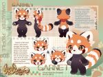  1boy animal_ears animal_feet animal_hands bamboo chibi chibi_only chibikemo commentary digitigrade english_commentary english_text fluffy_land furry furry_male garnet_(fluffy_land) goodsmile_company kikugawa_ru male_focus multiple_views official_art red_panda_boy red_panda_ears red_panda_tail reference_sheet second-party_source tail 