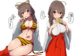  1girl alternate_costume animal_ears animal_print bikini braid breasts brown_eyes brown_hair comala_(komma_la) ema fake_animal_ears fake_tail hakama hakama_skirt japanese_clothes kantai_collection kimono large_breasts long_hair miko navel print_bikini red_hakama shinshuu_maru_(kancolle) skirt speech_bubble swimsuit tail tiger_ears tiger_print tiger_tail translation_request twin_braids white_kimono wide_sleeves 