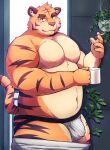  2022 absurd_res anthro belly bulge clothing felid hi_res humanoid_hands i_0rai jockstrap kemono male mammal moobs nipples overweight overweight_male pantherine smoking solo tiger underwear 