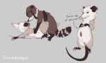 ambiguous_penetration american_opossum anthro black_nose blue_eyes brown_body brown_fur duo female female_penetrated fingerless_(marking) fingerless_gloves_(marking) folvondusque fur genitals gloves_(marking) grey_body grey_fur heather_(over_the_hedge) hi_res male male/female male_penetrating male_penetrating_female mammal markings marsupial nude nude_female nude_male over_the_hedge penetration pink_nose pouch_(anatomy) pregnant pregnant_female procyonid raccoon ring_(marking) ringed_tail rj_(over_the_hedge) sex striped_markings striped_tail stripes tail tail_around_partner tail_markings virginia_opossum vulva