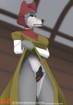 absurd_res animal_genitalia animal_vulva anthro canid canine canis clothed clothing crimsoncolored dress female genitals gown hi_res mammal medieval medieval_clothing no_underwear pubes public solo voyeur_pov wolf