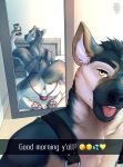  2021 absurd_res anthro anus backsack balls biped blep canid canine clothing connor_curran fur genitals grey_body grey_fur harness hi_res holding_object holding_phone jockstrap kneeling looking_at_viewer male mammal mirror_selfie pawpads paws peyotethehyena phone selfie solo tongue tongue_out underwear white_body white_fur 