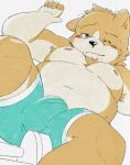  2022 anthro belly blush brown_body bulge canid canine canis clothing domestic_dog genital_outline hi_res humanoid_hands kemono lying male mammal moobs navel nipples one_eye_closed overweight overweight_male penis_outline samodora1030 solo underwear 