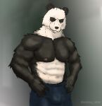  abs anthro bottomwear clothing giant_panda invalid_background male mammal muscular nipples pants pecs scar simple solo ursid victory_clint 