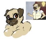  2018 anthro big_breasts black_nose blush bojack_horseman breasts brown_eyes bust_portrait canid canine canis colored_sketch domestic_dog ep777 female fur hi_res mammal molosser netflix nude pickles_aplenty portrait pug reference_image simple_background sketch small_molosser solo tan_body tan_fur toy_dog white_background 