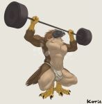 abs accipitrid accipitriform anthro armpit_hair avian beak biceps bird bodily_fluids body_hair bulge claws clothing crouching eagle exercise feathers genitals hi_res jockstrap kotia looking_at_viewer male muscular muscular_anthro muscular_male open_mouth pecs philippine_eagle pirate_eagle raised_arm raised_leg simple_background solo steam sweat sweat_droplets sweatdrop sweaty_chest sweaty_clothing sweaty_genitalia sweaty_legs sweaty_thighs talon_hands talons underwear weightlifting weights workout 
