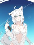  1girl ahoge animal_ear_fluff animal_ears bangs bikini bikini_top blush braid contrail eldora_k2001 eyebrows_visible_through_hair fox_ears fox_girl fox_tail hair_between_eyes highres hololive long_hair looking_at_viewer open_mouth shirakami_fubuki single_braid solo swimsuit tail virtual_youtuber white_hair 