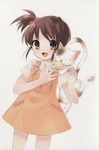  ito_noizi kyon&#039;s_sister neko suzumiya_haruhi_no_yuuutsu tagme 