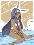  1girl animal_ears dark-skinned_female dark_skin earrings egyptian_clothes facial_mark fate/grand_order fate_(series) hairband hoop_earrings jackal_ears jewelry long_hair low-tied_long_hair nitocris_(fate) purple_eyes purple_hair sidelocks sitting solo usekh_collar wariza yepnean 