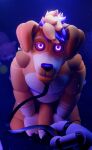  alaric_(alaricdoggo) alaricdoggo animatronic anthro ball bird_dog blender_(artwork) blender_(copyright) blender_cycles_(artwork) blonde_hair box canid canine canis collar container digital_media_(artwork) domestic_dog genitals golden_retriever hair hand_holding_object hi_res holding_leash holding_object hunting_dog kneeling leash leashed_collar leashed_male looking_at_viewer machine male mammal markings mastectomy_scar penis plushie pov_hands purple_eyes purple_hair retriever robot scar solo stitch_(sewing) striped_markings stripes tennis_ball trans_(lore) trans_man_(lore) white_hand ych_(character) yellow_body 