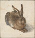  1502 absurd_res albrecht_durer ambiguous_gender brown_body brown_eyes brown_fur claws detailed european_hare feral formal_art fur gouache_(artwork) hare hi_res lagomorph leporid long_ears mammal no_sclera nude painting_(artwork) public_domain solo toe_claws traditional_media_(artwork) watercolor_(artwork) whiskers 