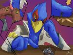  anthro avian avian_penis bird canid canine canis clothed clothing crush erection falco_lombardi feathers fingers genitals hi_res magpi male mammal micro nintendo penis size_difference star_fox video_games wolf wolf_o&#039;donnell 
