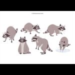  concept_art disney far_from_the_tree feral grey_body jamwoods mammal marie_(far_from_the_tree) multiple_poses official_art pose procyonid raccoon scar simple_background sitting solo washing_hands water white_background worried 