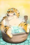  2022 anthro balls bathing belly eyes_closed felid genitals hi_res kemono male mammal micropenis moobs navel nipples overweight overweight_male pantherine penis pink_nose shibatanukiti small_penis solo tiger water 