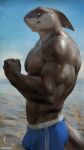  2022 anthro chunie clothed clothing detailed_background digital_media_(artwork) fish hi_res male marine muscular muscular_male shark solo standing topless 