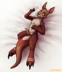  absurd_res anatomically_correct anatomically_correct_genitalia animal_genitalia animal_penis anthro balls bed_sheet bedding bedroom_eyes big_tail brown_body brown_fur chozogoat digitigrade erection fur genitals hand_on_chest hi_res kangaroo lying macropod male mammal marsupial marsupial_balls marsupial_genitalia marsupial_penis narrowed_eyes on_back penis seductive solo yellow_eyes 