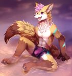  2021 anthro beach bulge canid canine canis clothing hi_res ivan-jhang japanese_wolf male mammal marou purple_eyes seaside simple_background sitting solo swimming_trunks swimwear water wolf ych_result 