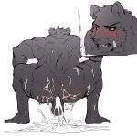 2025 annoyed anthro balls band-aid band-aid_on_face bandage bandage_on_face bent_legs black_sclera blush bodily_fluids butt crouching cum embarrassed genital_fluids genitals hi_res leaking_anus leaking_cum male mammal nude_male solo spread_legs spreading suinduckhu sweat
