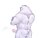  2022 absurd_res anthro bodily_fluids butt cum ejaculation erection genital_fluids genitals hi_res humanoid_genitalia humanoid_hands humanoid_penis kajin-sama male mammal musclegut penis polar_bear simple_background solo ursid ursine white_background white_body 