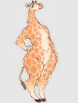  2026 absurd_res anthro digital_media_(artwork) eyelashes featureless_chest featureless_crotch female fur giraffe giraffid grey_background hand_on_hip hi_res hooves humanoid_hands long_neck mammal nude nude_anthro orange_body orange_fur simple_background sketchy slightly_chubby slightly_chubby_anthro solo spots standing tail thick_thighs wide_hips wunnunnunnun 