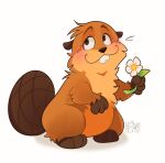 3_fingers 3_toes :3 ambiguous_gender artist_logo beaver biped blush brown_body brown_eyes brown_fur brown_nose brown_tail buckteeth countershade_fur countershading disney feet feral fingers flower fur hi_res holding_flower holding_object holding_plant honeypaws_art hoppers_(disney) logo looking_up mabel_tanaka mammal paws pixar plant rodent simple_background smile solo standing tail teeth toes white_background
