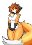  after_transformation anthro canid canine collar crossgender dashinthedark_(artist) female fox keidran keith_keiser mammal solo species_transformation transformation twokinds webcomic wide_hips 