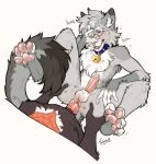 absurd_res anal anal_penetration animal_genitalia anthro anthro_on_anthro anthro_penetrated anthro_penetrating anthro_penetrating_anthro balls bell bell_collar blue_collar blue_eyes blush bodily_fluids butt collar cum cum_in_ass cum_inside digital_media_(artwork) dipstick_ears dipstick_fingers dipstick_tail dipstick_toes domestic_cat dripping duo ear_markings egyptian_mau embarrassed english_text erection eyewear felid feline felis from_front_position fur genital_fluids genitals glasses gold_bell grey_body hair hand_on_face hands_on_hips heart_symbol hi_res kerchief lying male male/male male_penetrated male_penetrating male_penetrating_male mammal markings mating_press multicolored_ears neckerchief neckwear nipples nixuelle nude on_back open_mouth pawpads penetration penile penile_penetration penile_spines penis pink_nose precum precum_drip round_glasses sex sheath shy sil_blackmon simple_background tail tail_markings tatujapa teeth text tongue