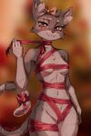 2026 2:3 5_fingers accessory anthro artist_name biped blurred_background blush blush_lines bow_ribbon breasts brown_nose camel_toe cheek_tuft chest_tuft claws closed_smile countershading digital_media_(artwork) dipstick_tail domestic_cat eye_scar eyebrows eyelashes facial_scar facial_tuft faith_(unluckymireille) fangs felid feline felis female female_anthro finger_claws fingers fur furgonomics gift_wrapped glistening glistening_eyes grey_body grey_fur grey_tail hair_accessory hair_bow hair_ribbon hi_res inner_ear_fluff legs_together looking_at_viewer mammal markings medium_breasts mouth_closed multicolored_body multicolored_fur multicolored_tail navel nude nude_anthro nude_female orange_eyes pointy_ears prick_ears ribbons scar smile smiling_at_viewer solo tail tail_accessory tail_bow tail_markings tail_ribbon teeth text thigh_gap tuft unluckymireille whiskers white_body white_countershading white_eyebrows white_fur white_inner_ear_fluff white_tail white_tail_tip white_whiskers