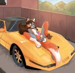 anal anal_penetration anthro anus balls brown_hair buttplug buttplug_in_ass buttplug_insertion canid canine car cheek_tuft english_text erection facial_tuft femboy fox fur genitals grey_body grey_fur grey_pawpads hair hi_res humanoid_genitalia humanoid_penis male mammal nide object_in_ass on_car orange_body orange_fur pawpads paws penetration penis perineum plug_(sex_toy) plug_insertion sex_toy sex_toy_in_ass sex_toy_insertion smile solo text tuft vehicle white_body white_fur wide_eyed xing1