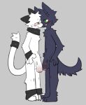2026 accessory anthro arm_tuft biped black_ears blep blush canid canine canis cat_tail cheek_tuft chest_tuft claws closed_smile digital_drawing_(artwork) digital_media_(artwork) dog_tail domestic_cat duo elbow_tuft eye_contact face_to_face facial_tuft felid feline felis finger_claws foreskin fur fur_tuft furgonomics genitals glans green_eyes grey_background grey_body grey_fur half-erect head_tuft hi_res humanoid_genitalia humanoid_penis interspecies looking_at_another male male/male mammal mouth_closed nifram_logan nude nude_anthro nude_male partially_retracted_foreskin penis pizademokttero plantigrade red_eyes reggie_(lazycatto) shoulder_tuft side_view simple_background slim slim_anthro slim_male smile standing tail tail_accessory tongue tongue_out tuft vein veiny_penis white_body white_fur wolf