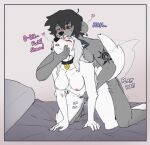  anthro bent_over black_hair canid canine canis collar collar_tag domestic_dog duo ear_piercing english_text female fingering fur grey_body grey_fur hair hi_res husky kissing_while_penetrating male male/female mammal mustelid nordic_sled_dog otter piercing sex shaun_lutra_(voxxen) spitz tattoo text voxxen white_body white_fur 