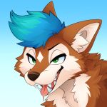 1:1 ambiguous_form black_eyebrows blue_background blue_hair bodily_fluids brown_body brown_fur brown_nose canid canine canis cheek_tuft colored digital_drawing_(artwork) digital_media_(artwork) drooling eyebrows facial_tuft fangs feve fluffy fur green_eyes hair hi_res inner_ear_fluff male mammal open_mouth pink_tongue saliva shaded short_hair simple_background snout solo tan_body tan_fur teeth tongue tongue_out tuft wolf