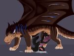 absurd_res animal_genitalia animal_penis anthro anthro_on_feral balls bestiality bodily_fluids canid canine canine_genitalia canine_penis canis caraluca cum cum_on_ground cum_pool cum_string cumshot digital_media_(artwork) dragon duo ejaculation erection feet felkin feral fur genital_fluids genitals half-closed_eyes handjob hi_res hugging_penis interspecies kneeling knot larger_feral leaking_precum licking looking_pleasured male male/male mammal membrane_(anatomy) membranous_wings mythological_creature mythological_scalie mythology narrowed_eyes nude oral orgasm orgasm_face paws penile penis penis_lick penis_milking precum precum_string scalie sex simple_background size_difference smaller_anthro smile tail toes tongue tongue_out wings wolf