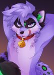 anthro bell bell_collar black_eyebrows black_markings black_nose collar collar_only colored digital_drawing_(artwork) digital_media_(artwork) eyebrows facial_markings feve fur green_markings hair hands_behind_back head_markings hi_res licking licking_lips male mammal markings mask_(marking) nude pink_tongue procyonid purple_body purple_eyes purple_fur purple_hair raccoon red_collar shaded short_hair simple_background snout solo tail tongue tongue_out whiskers