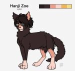 2019 ambiguous_gender attack_on_titan black_nose brown_body brown_fur brown_hair domestic_cat eyewear felid feline felis feral feral_with_hair feralized fluffy fur glasses hair hange_zoe leg_markings lykoi mammal markings pink_paws silveyytm simple_background socks_(marking) white_background yellow_eyes
