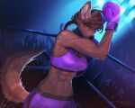  2022 abs absurd_res anthro athletic athletic_anthro athletic_female audience black_nose bottomwear boxing_gloves bra braided_hair breasts brown_body brown_fur brown_hair canid canine canis cleavage clothed clothing female fighting_ring fur green_eyes group hair handwear hi_res inner_ear_fluff long_hair looking_at_viewer mammal midriff navel noisykoala shorts signature solo sports_bra tani_rinkan tuft underwear wolf 