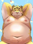 2022 anthro belly blush cute_fangs felid kemono male mammal menmen_kesinn moobs navel nipples overweight overweight_male pantherine pink_nose solo tiger yellow_body 