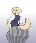 2026 an_ordinary_cat anthro beastars big_butt bird_dog blue_clothing blue_topwear blue_vest bottom_heavy bottomwear brown_eyes bubble_butt butt canid canine canis clothed clothed_anthro clothed_male clothing digital_drawing_(artwork) digital_media_(artwork) domestic_dog eyebrows fully_clothed fully_clothed_anthro fully_clothed_male fur golden_retriever grey_bottomwear grey_clothing grey_pants hands_on_hips hi_res huge_butt hunting_dog jack_(beastars) looking_at_viewer looking_back looking_back_at_viewer male mammal mouth_closed pants patter_bottomwear pattern_bottomwear pattern_clothing pattern_pants rear_view retriever shirt simple_background solo striped_bottomwear striped_clothing striped_pants stripes tail tan_body tan_fur thick_thighs tight_bottomwear tight_clothing tight_pants topwear vest white_background white_clothing white_shirt white_topwear