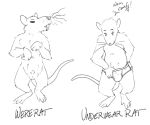  2021 anthro balls biped bulge clothing english_text genitals humanoid_hands jads_l_rutan male mammal murid murine rat rodent simple_background solo text underwear white_background 