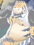  2022 anthro balls belly blush clothing dain_4201 felid flaccid genitals hi_res humanoid_genitalia humanoid_hands humanoid_penis kemono male mammal moobs necktie night nipples outside overweight overweight_male pantherine penis pubes shirt solo tiger topwear undressing 
