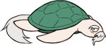  animal_focus beard facial_hair full_body genjii_(touhou) mirei_(miirei) no_humans simple_background solo touhou touhou_(pc-98) transparent_background turtle 